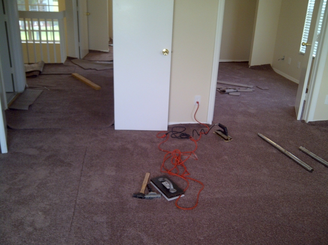 IMG-20120614-00187-650.jpg