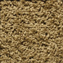 textured_carpet_chestnut_brown-medium.jpg