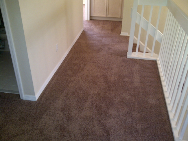 IMG-20120615-00197-650.jpg