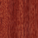 rainforest_collection_brazilian_cherry.jpg